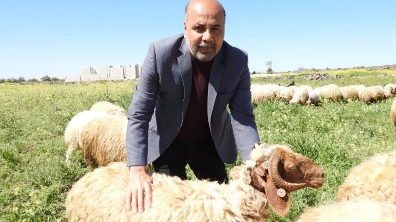 Gaziantep'te kurbanlık fiyatları belli oldu