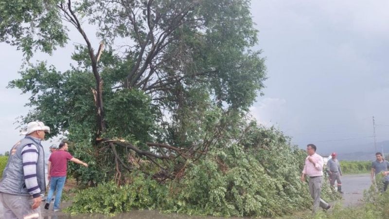 Manisa'da şiddetli fırtına ve dolu etkili oldu