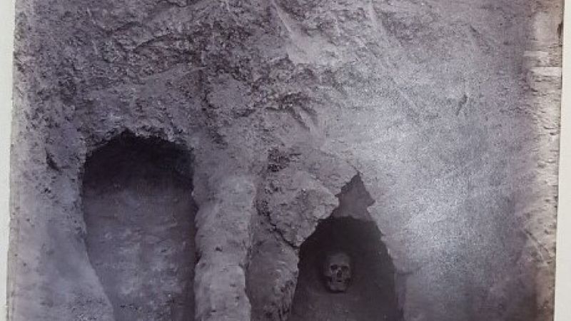 Bilim insanları vebanın kökenini keşfetti