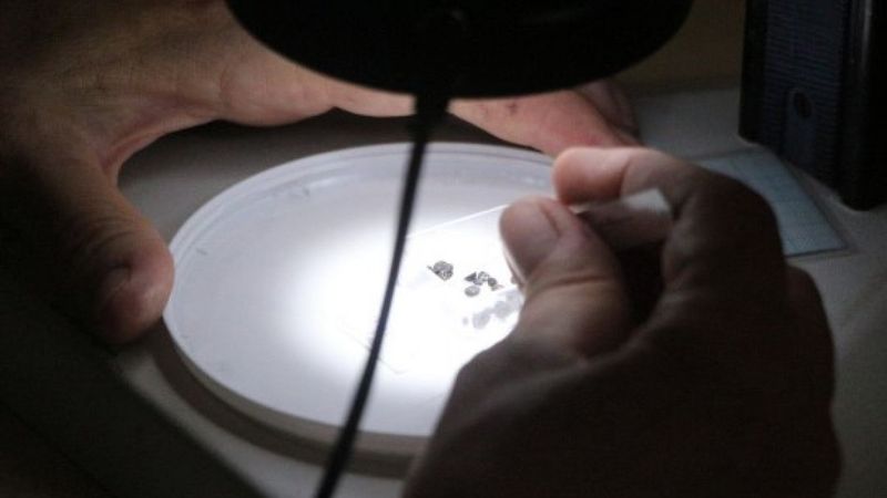 Adana'da 3 bin yıllık tohum bulundu