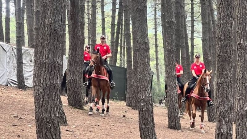 Maltepe’de atlı polislerle orman denetimi