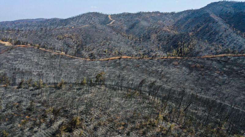 Marmaris yangınının bilançosu: Yeşilden eser kalmadı