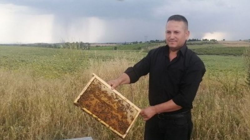 Adana'da bir kişi arı kovanlarını çalan hırsıza sosyal medyadan çağrı yaptı