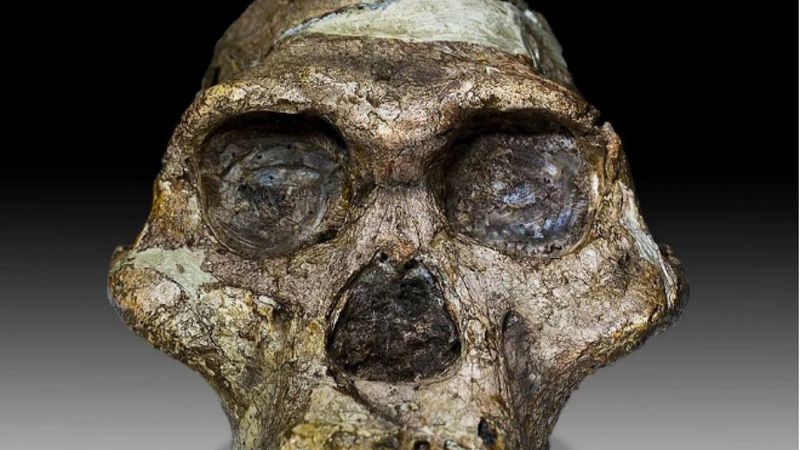 İnsanlığın kültürel varlığına dair yeni gelişme