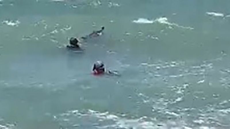 İzmir'de yavrusu ölü doğan yunus, kendini karaya vurdu