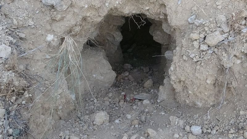 Malatya'da tarihi höyük, definecilerin kurbanı oldu