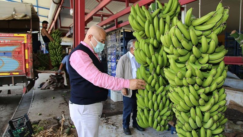 Alanya muzu coğrafi işaretle tescillendi