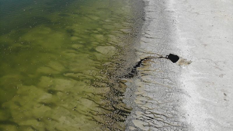 Burdur Gölü'nde alg patlaması