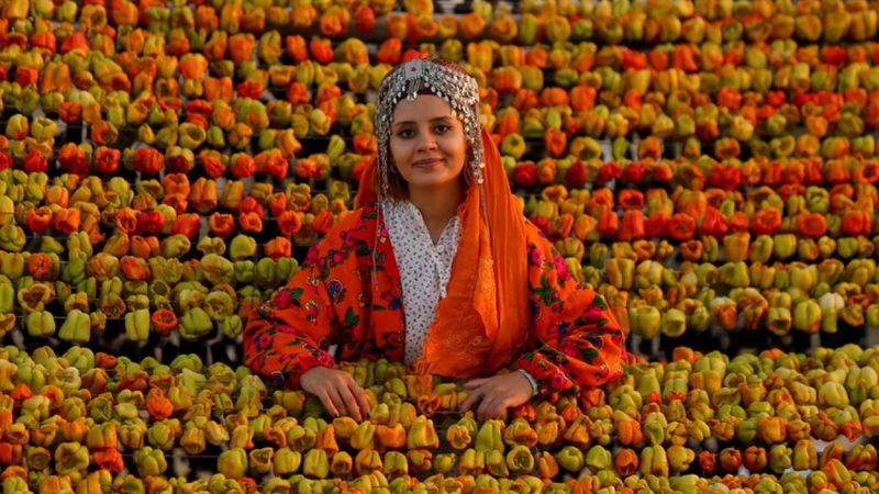 Gaziantep'te 'kurutmalıklar' güneşe serildi