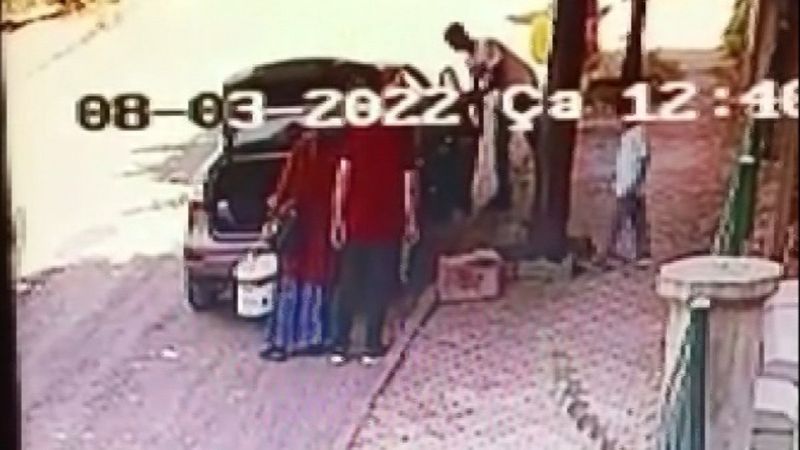 Elazığ'da kediyi sokağa atan kadına para cezası