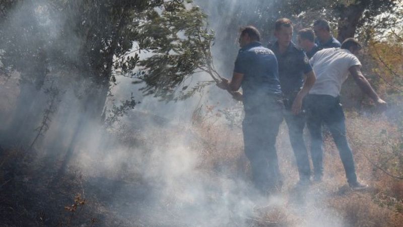 Hatay’da çıkan makilik yangını büyümeden söndürüldü