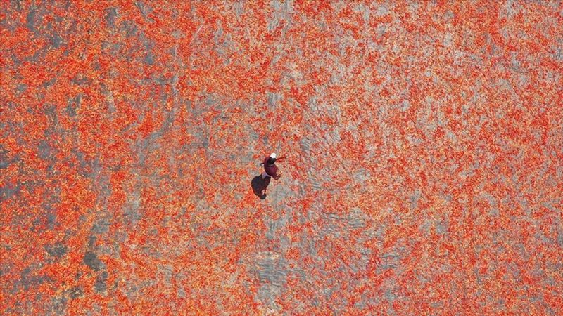 Tescilli Şanlıurfa isotu tezgahlarda