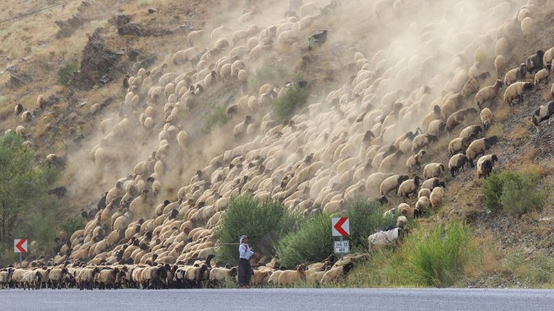 Yaylalarda konaklayan göçerlerin kış dönüşü başladı