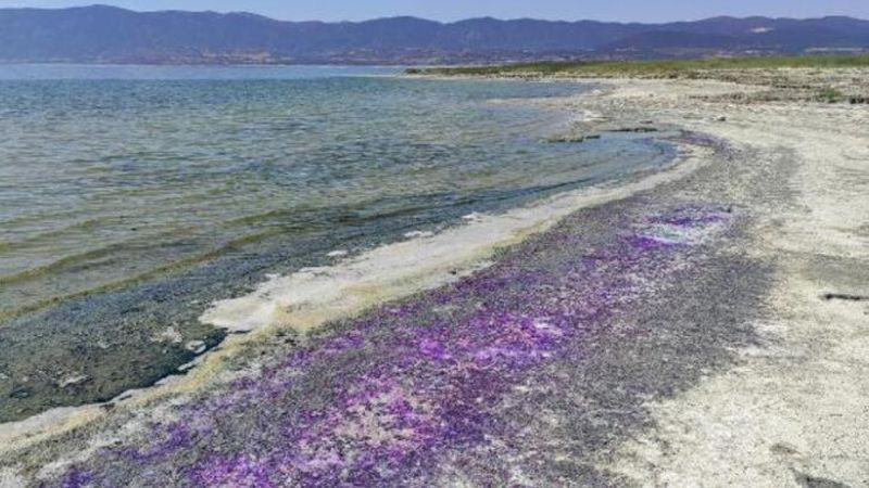 Burdur Gölü sahilindeki kumların rengi mora büründü