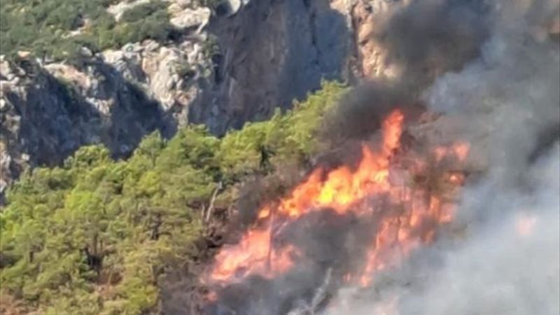 Antalya Adrasan’da orman yangını