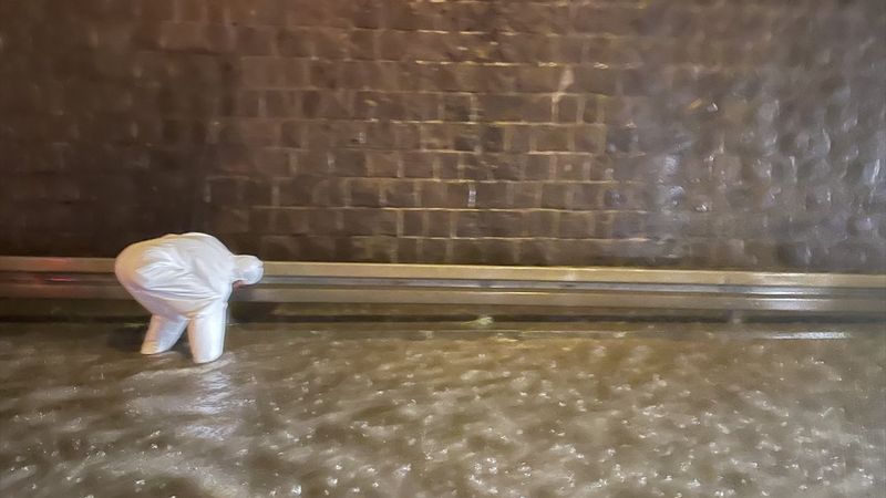 Trabzon'da sağanak yağış