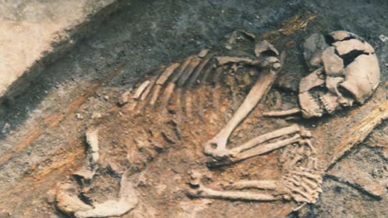 ‘Türkiye’nin Antik Genetik Profili’ tarihi DNA araştırması ile çıkarıldı
