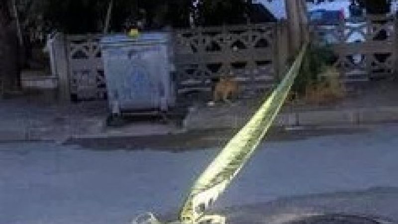 Trabzon'da çöpte bebek cesedi bulundu