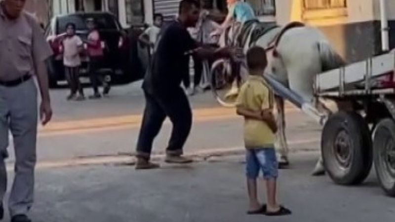 Adana'da bir kişiden ata yumruklu eziyet