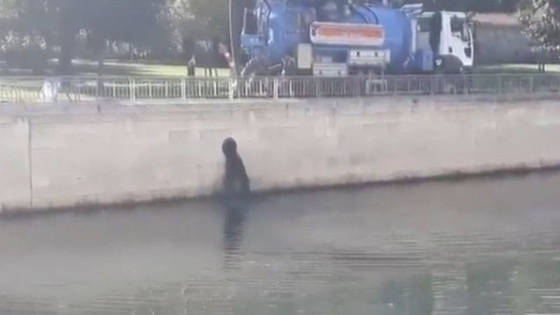 İBB aracı Kağıthane Deresi'ne atık su boşaltırken yakalandı