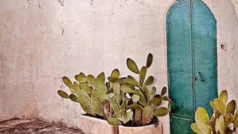 Vakanüvis, Yunanlıların toplumsal kültür ve inançlarını yazdı