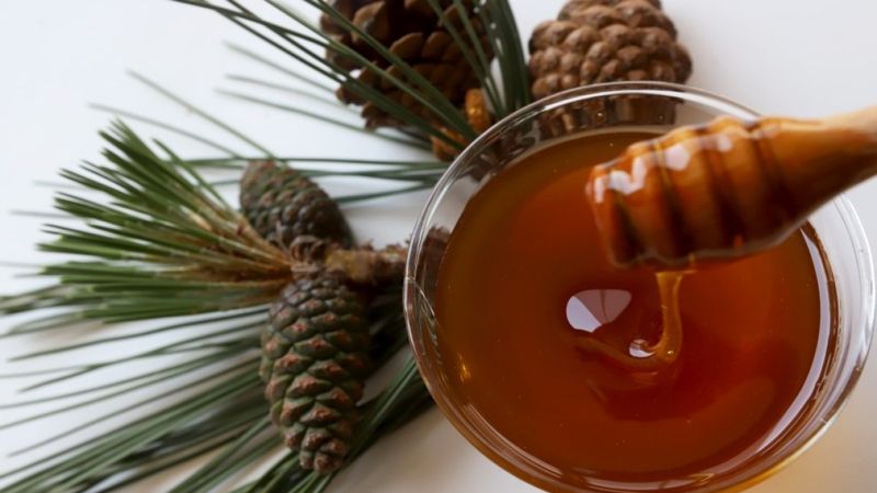 Arıcılar tehlikeyi duyurdu: Artık çam balı yok