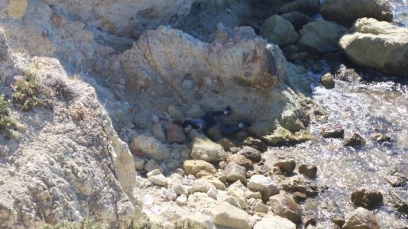 İzmir Foça'da bir koyda 10 gün arayla bir ceset daha bulundu