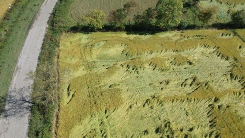 Sinop'ta tarım arazilerini fırtına vurdu