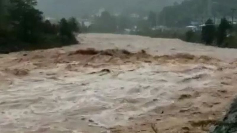 Artvin'de sağanak: Ev ve iş yerlerini su bastı