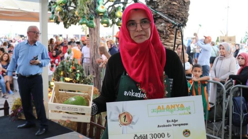 Alanya'nın en ağır avokadosu seçildi