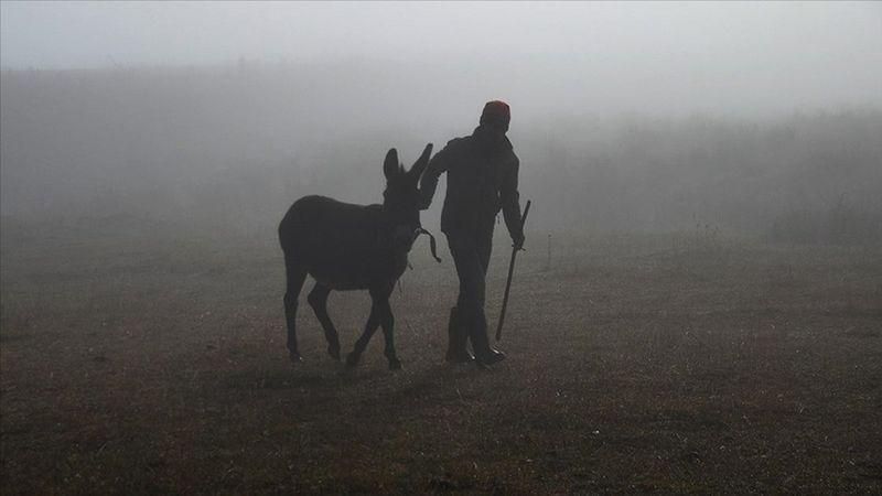 Yoğun sis Kars'ın Sarıkamış ilçesini ele geçirdi