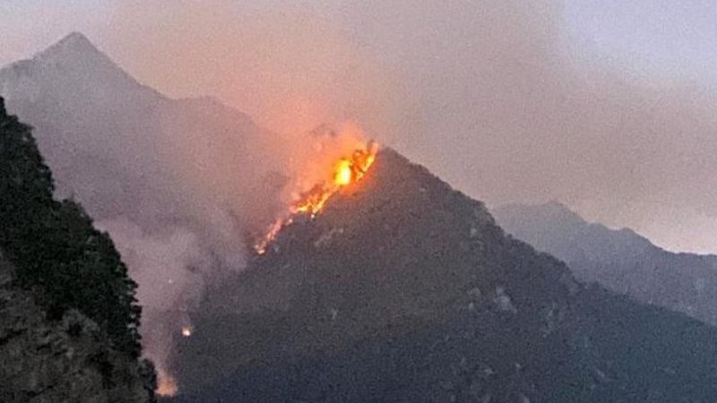 Osmaniye’de ormanlık alanda yangın