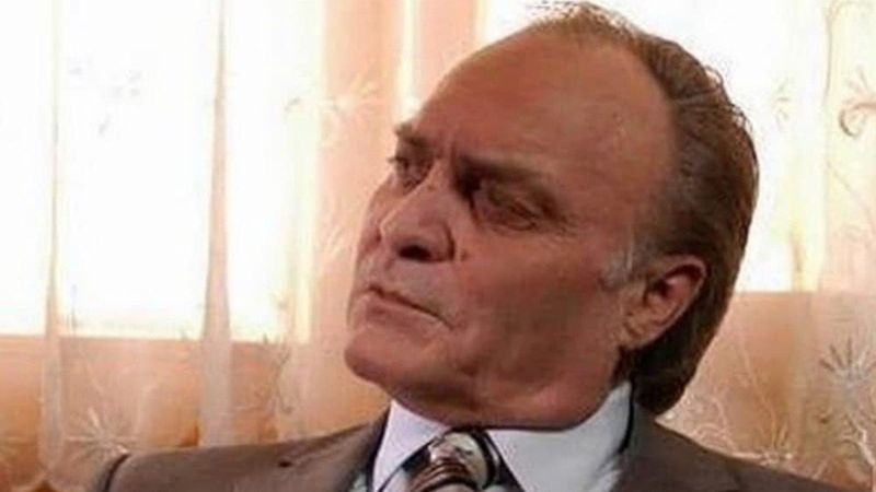 Kurtlar Vadisi'nin Laz Ziya'sı İstemi Betil'in kızı da oyuncu çıktı! Güzelliğiyle büyüledi!