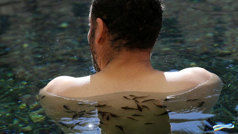 Sivas'ta sedef hastalarının adresi: Kangal Balıklı Kaplıca