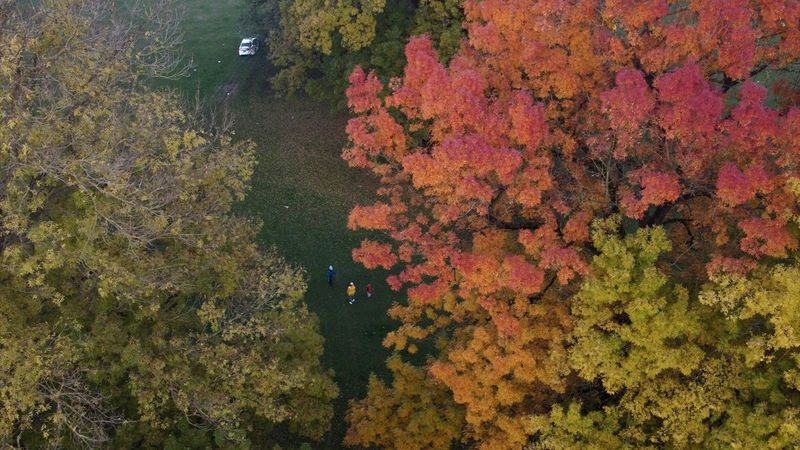 Düzce'de Efteni Gölü, sonbaharın renklerine büründü