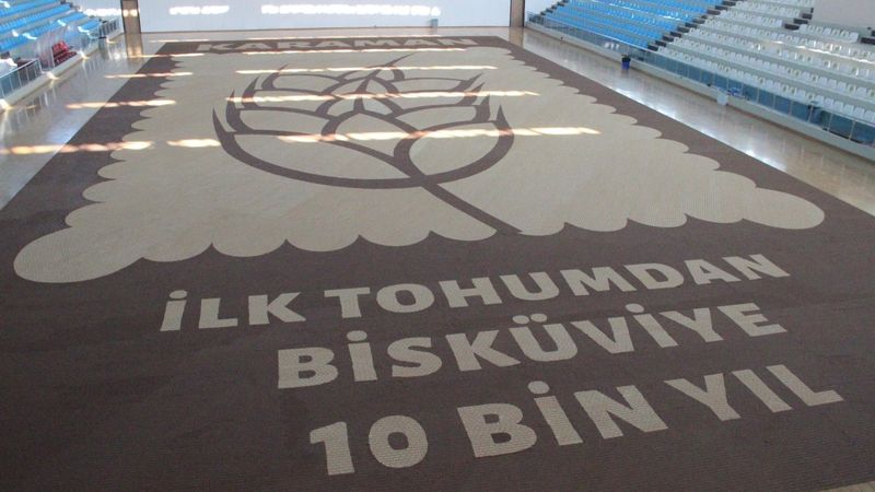 Karaman’da dünyanın en büyük buğday başağı mozaiği yapıldı