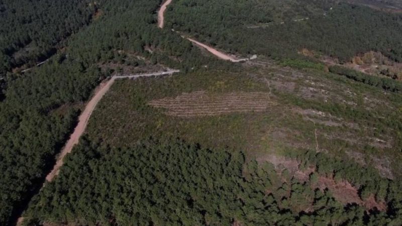 Aydos Ormanı’nda PKK'lı teröristin yaktığı ormanlık alanın son hali görüntülendi