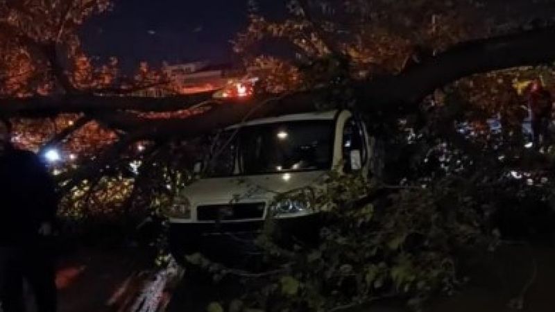 Bursa'da şiddetli lodos: Ağaçlar devrildi