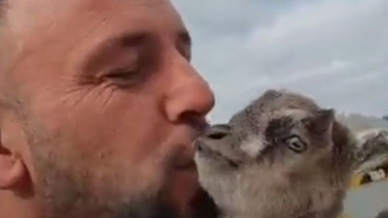 Karadenizli vatandaşın yavru keçiye sevgisi 