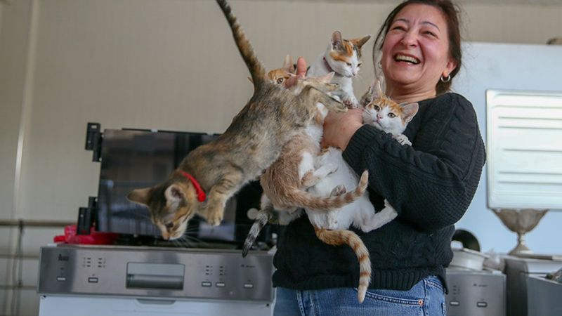 İzmir'de mağaza sahibi çift, dükkanlarını kedilere açtı