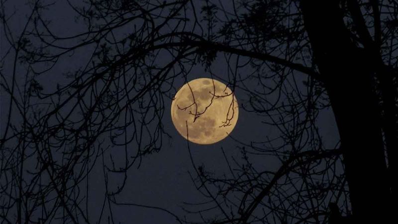Dolunay ne zaman gerçekleşecek, hangi gün? İşte Yengeç dolunayının burçlara etkisi!