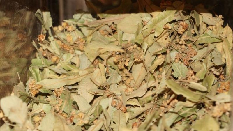 Soğuk havalar ıhlamura ilgiyi artırdı