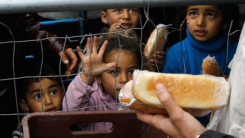 Serap Yaşar'ın Avrupa’da kayıp göçmen ve mülteci çocuklarla ilgili raporu