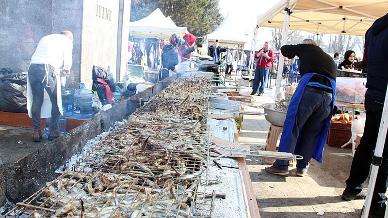 Düzce'deki festivalde 4 ton hamsi dağıtıldı