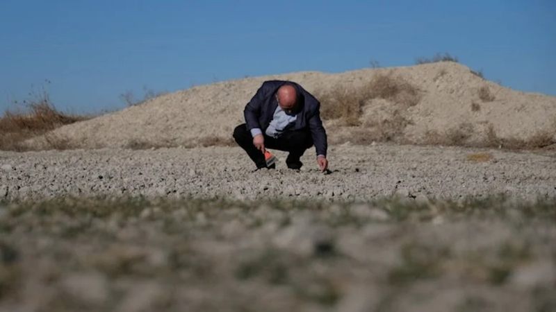 Konya Ovası'nda kuraklık hasarı
