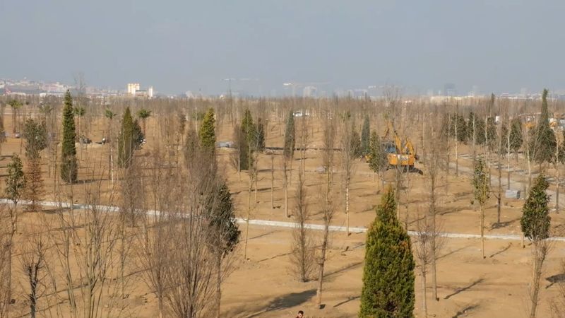 Atatürk Havalimanı Millet Bahçesi'nde sona gelindi