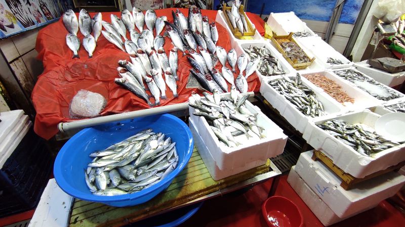 İstanbul'daki balık tezgahları boş kaldı