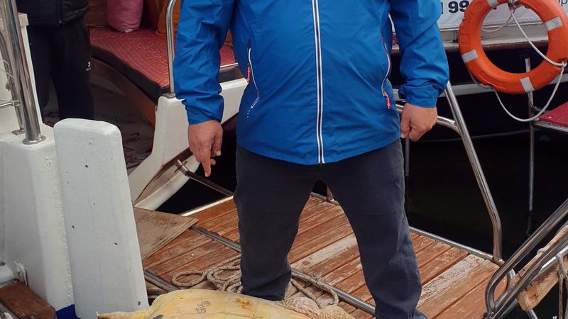 Muğla açıklarında ölü caretta caretta bulundu