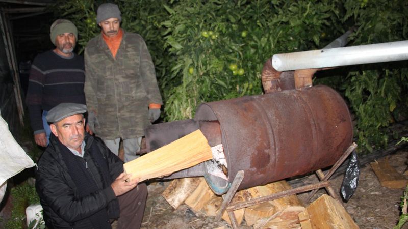 Antalya'da seralarda don nöbeti başladı