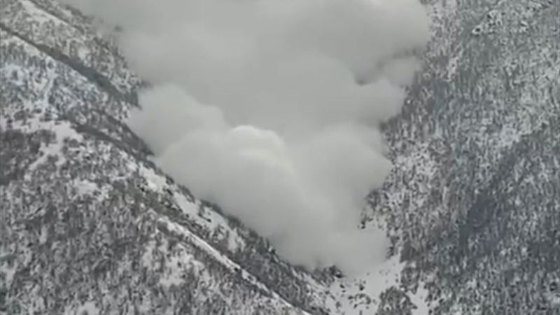 Hakkari'de çığ düştü